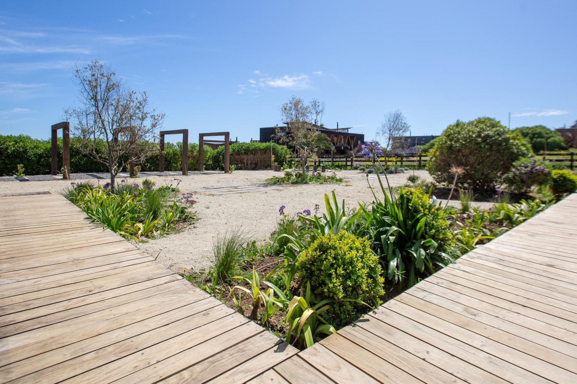 Refugio Lobos Villa Pichilemu Bagian luar foto