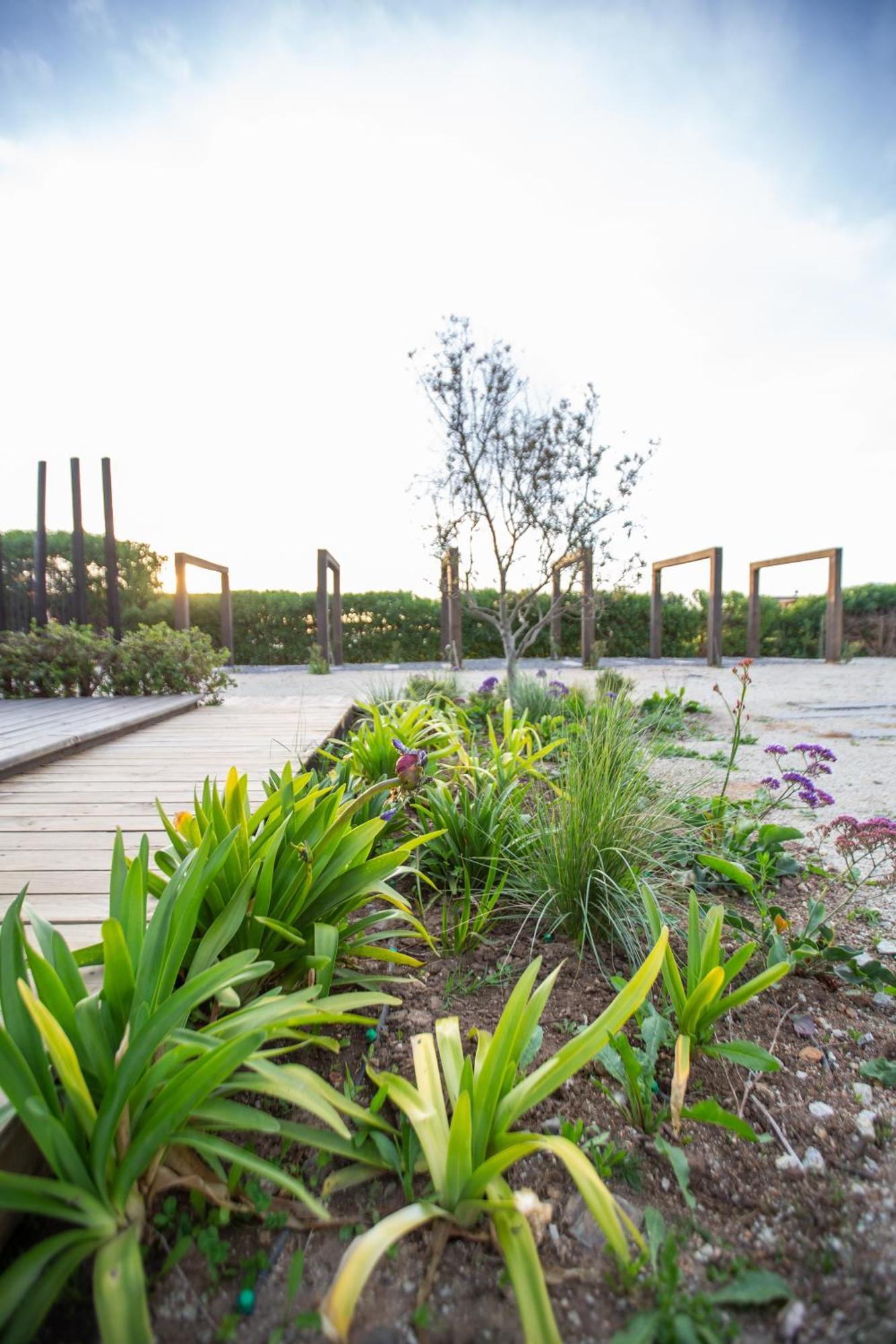 Refugio Lobos Villa Pichilemu Bagian luar foto